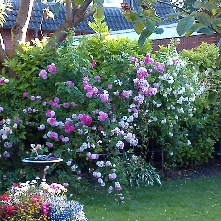 Haus Sielblick Appartement *